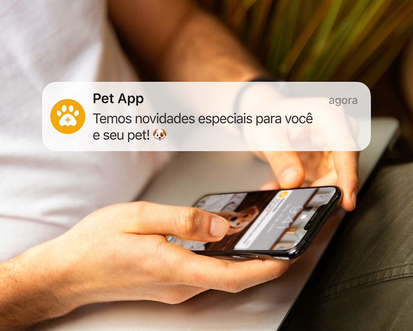 Funcionalidade do projeto Portal do pet shop